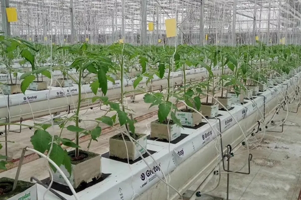 无土栽培农业岩棉